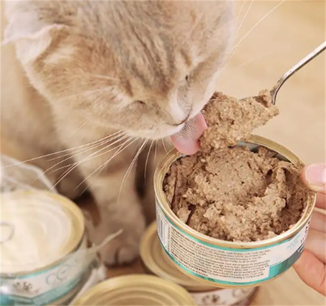 猫罐头哪个牌子质量好性价比高