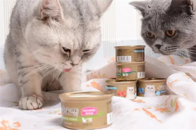 猫罐头哪个牌子质量好性价比高
