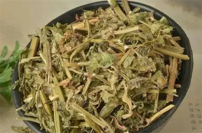 益母草和谁一起吃效果更好益母草和什么一起吃有调经效果(益母草与什么东西最调经)