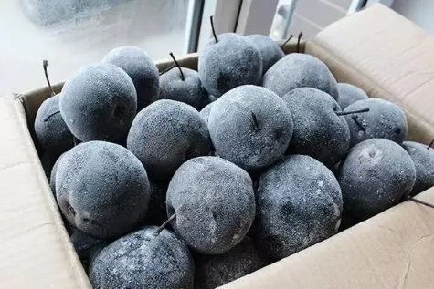 冻梨可以寄快递吗