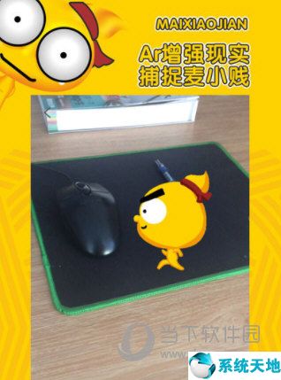 麦小贱官网(麦小贱下载)