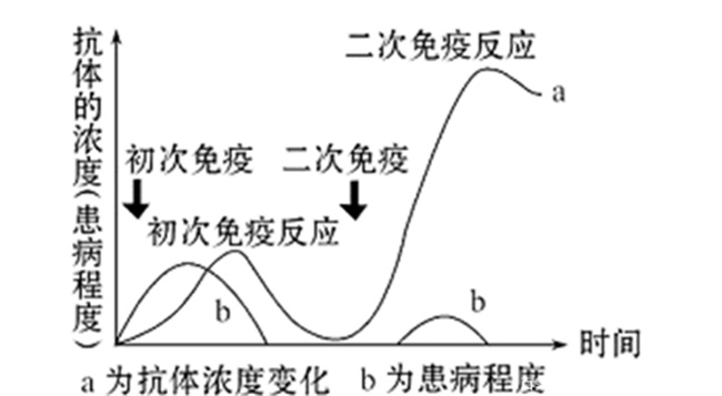 为什么注射疫苗还感染为什么注射疫苗后还会感染新冠病毒(为什么接种疫苗后还会被感染)