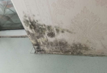 除霉剂用过后有味道