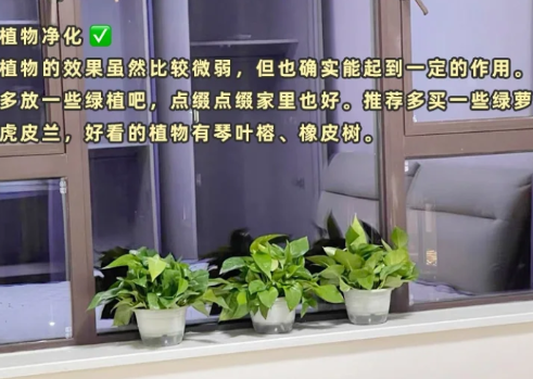 速蓝石除甲醛效果如何