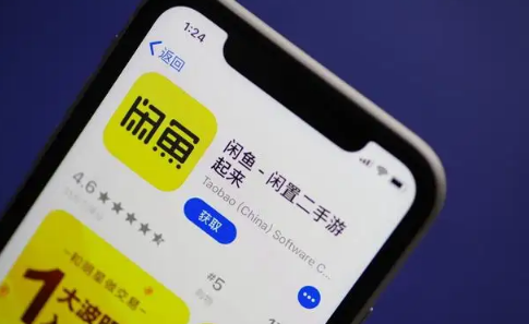 闲鱼扣了24分怎么办