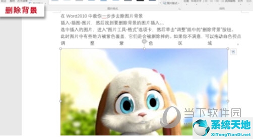 word中怎么删除图片背景(word里怎么删除图片背景色)