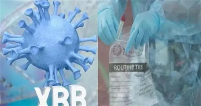 感染XBB.1.5是否需要囤纸尿裤感染XBB.1.5会失禁要囤纸尿裤(xbb最新消息)