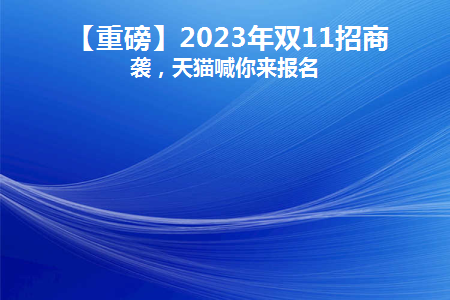 2028双十一
