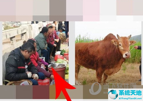 淘宝直播怎样看回放(淘宝直播时怎么看回放)