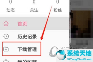 哔哩哔哩自动安装软件(哔哩哔哩如何自动播放视频)