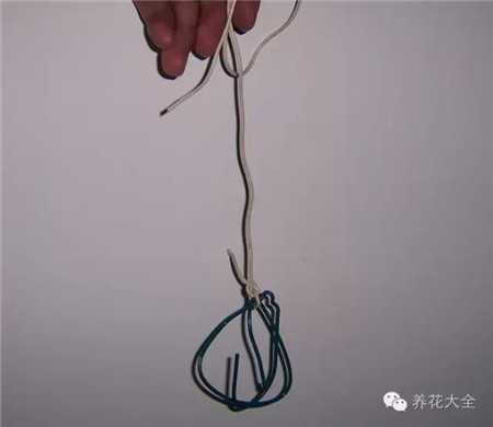 废罐子做花盆