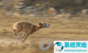 热血江湖手游攻略心得(2021热血江湖手游攻略)