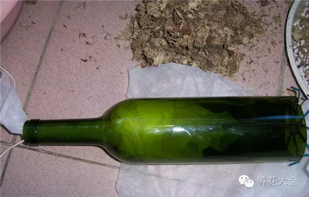废罐子做花盆