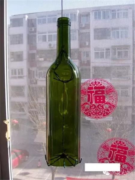 废罐子做花盆