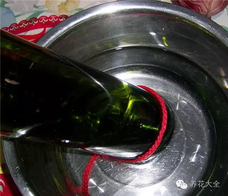 废罐子做花盆