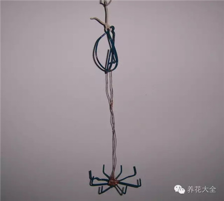 废罐子做花盆