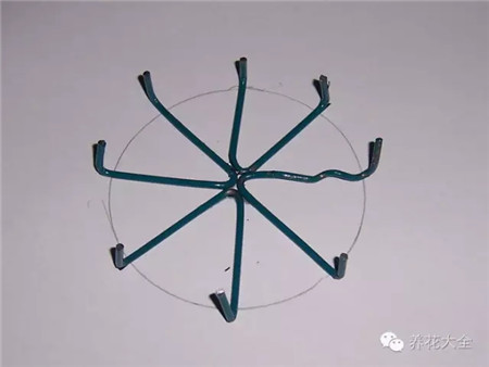 废罐子做花盆