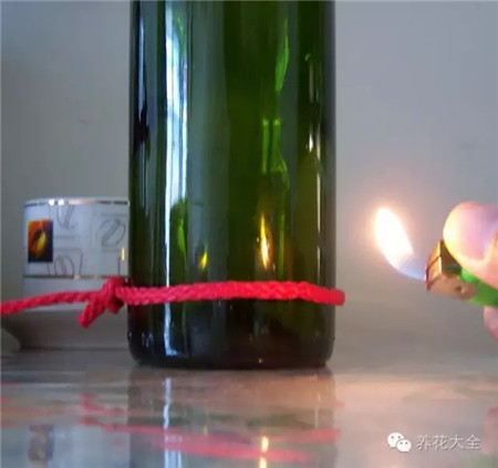废罐子做花盆