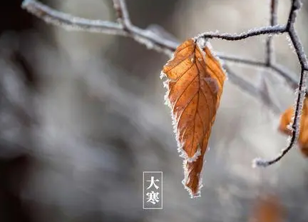 2023大寒过去还冷吗大寒过后还冷多久(202|年大寒是几月几日)