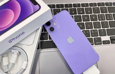 iPhone12掉火锅了会坏吗iPhone12掉火锅里了怎么办(苹果12掉火锅里面了怎么处理)