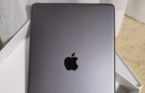 ipad2020有3.5mm耳机孔