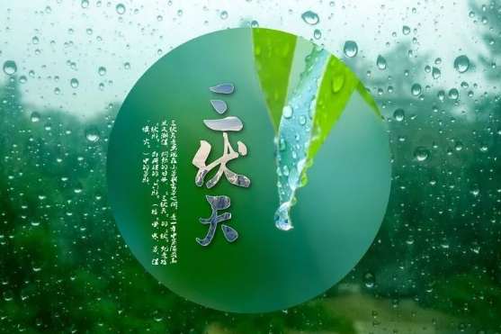 2023年三伏天是30天还是40天2023年三伏天一共有多少天(2023年三伏天时间)
