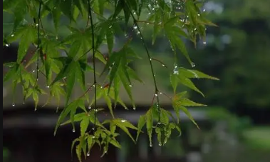 6月是梅雨期吗