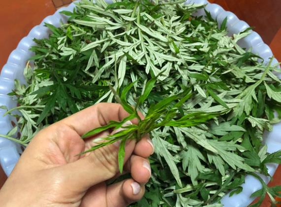 干艾草放家里什么位置