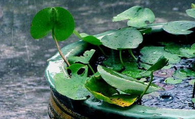 6月是梅雨期吗