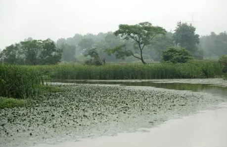6月份是不是梅雨季节每年的梅雨一般从几月份开始(6月是梅雨期吗)