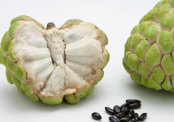 释迦果可以生吃吗释迦果有哪些食用方法(释迦果生的能吃吗?)