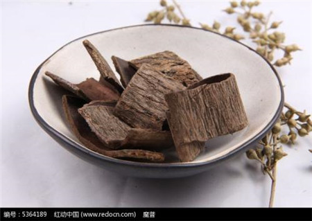 杜仲传说故事完整版