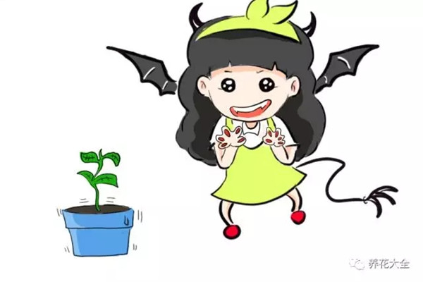 学会了摘心、打顶种啥花都能开爆(养花摘心)