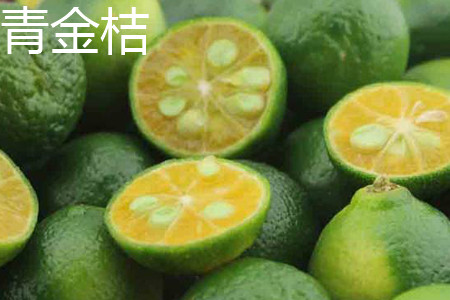 青金桔和金桔哪个好