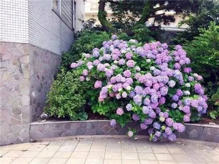 我们的夏天韩剧