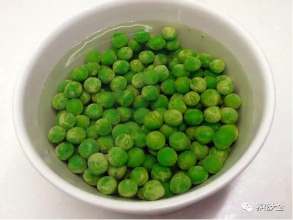 撒种子怎么撒
