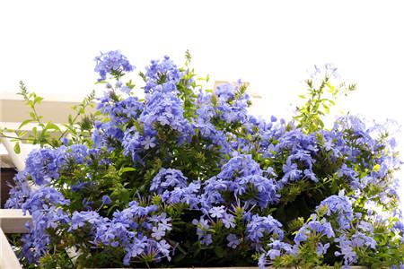 我们的夏天韩剧