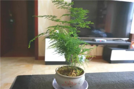 甲醛吸多了会有什么症状