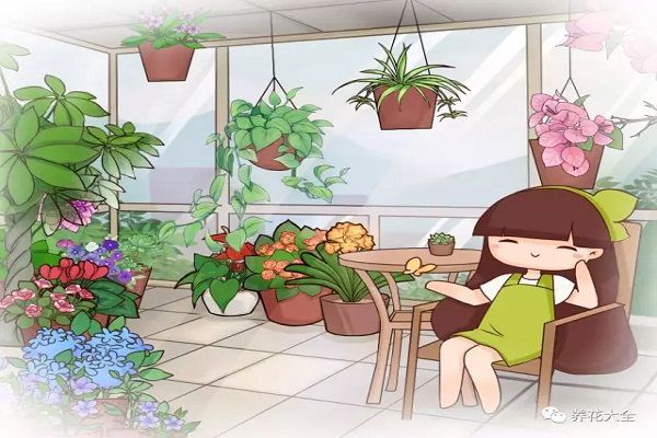 这10种花越贱养越疯长太勤快养不好！(什么花越养越贵)