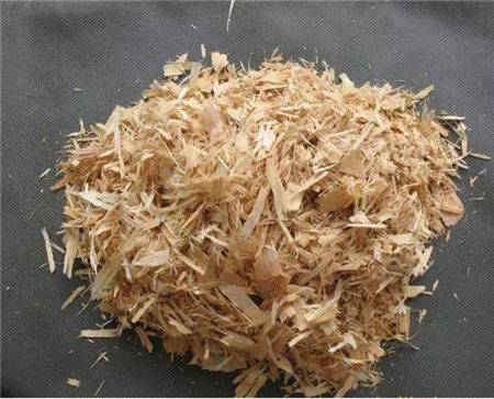花烂根用什么药小妙招