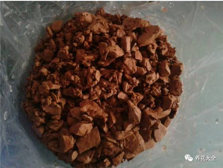 花烂根用什么药小妙招