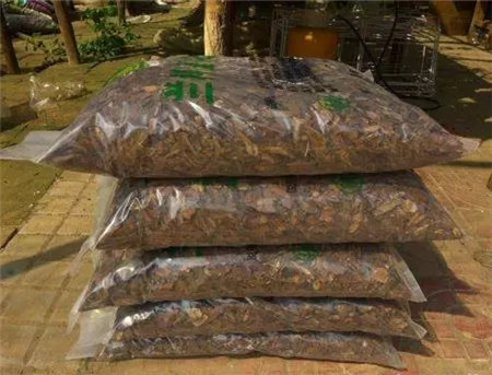 花烂根用什么药小妙招