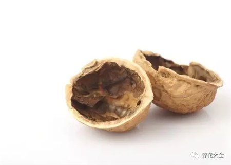 花烂根用什么药小妙招
