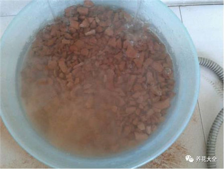 花烂根用什么药小妙招