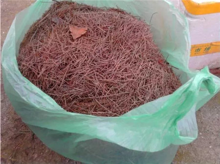 花烂根用什么药小妙招