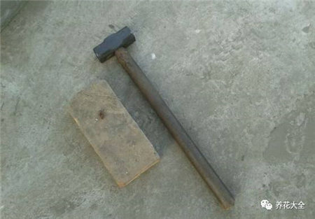 花烂根用什么药小妙招