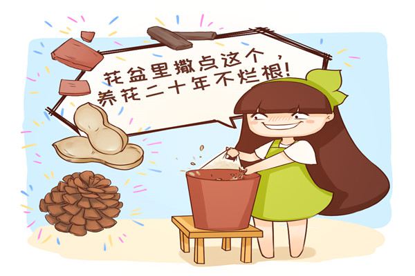 花烂根必死撒点这个却能活20年！(花烂根用什么药小妙招)