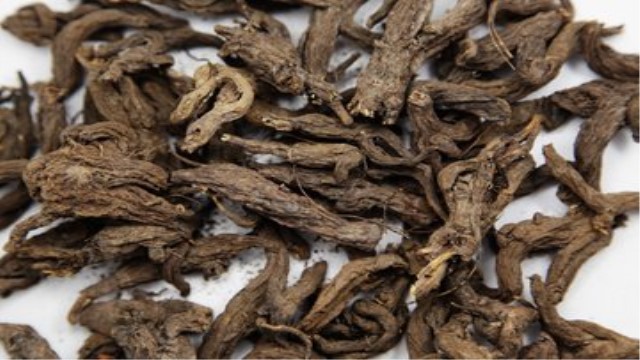 大戟和红大戟的区别(红大戟种子哪里有卖的)