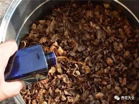 花烂根用什么药小妙招