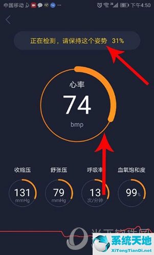 猫扑测血压准吗(猫扑运动测健康准吗)